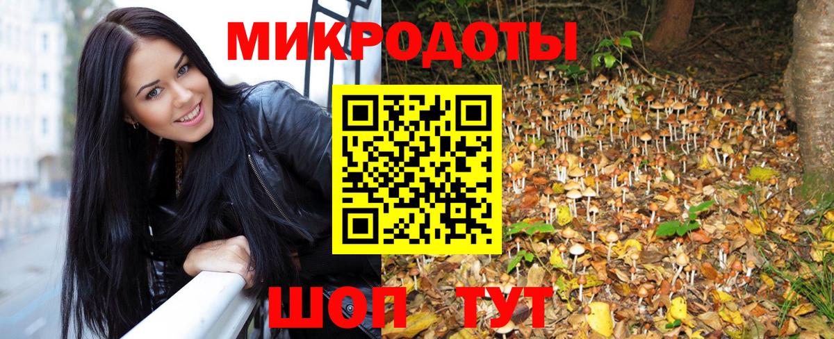 Новокубанск  Галлюциногенные грибы Magic Shrooms  Вход с VPN  Галлюциногенные грибы Cubensis 